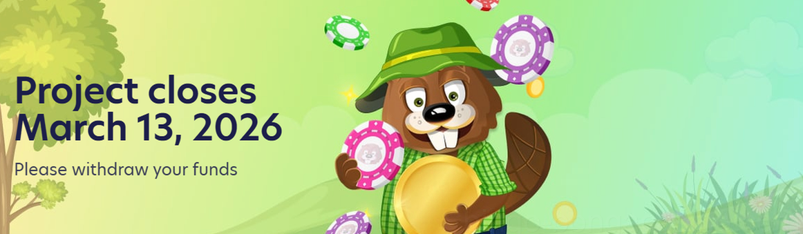 Bingobonga Casino játékélmény